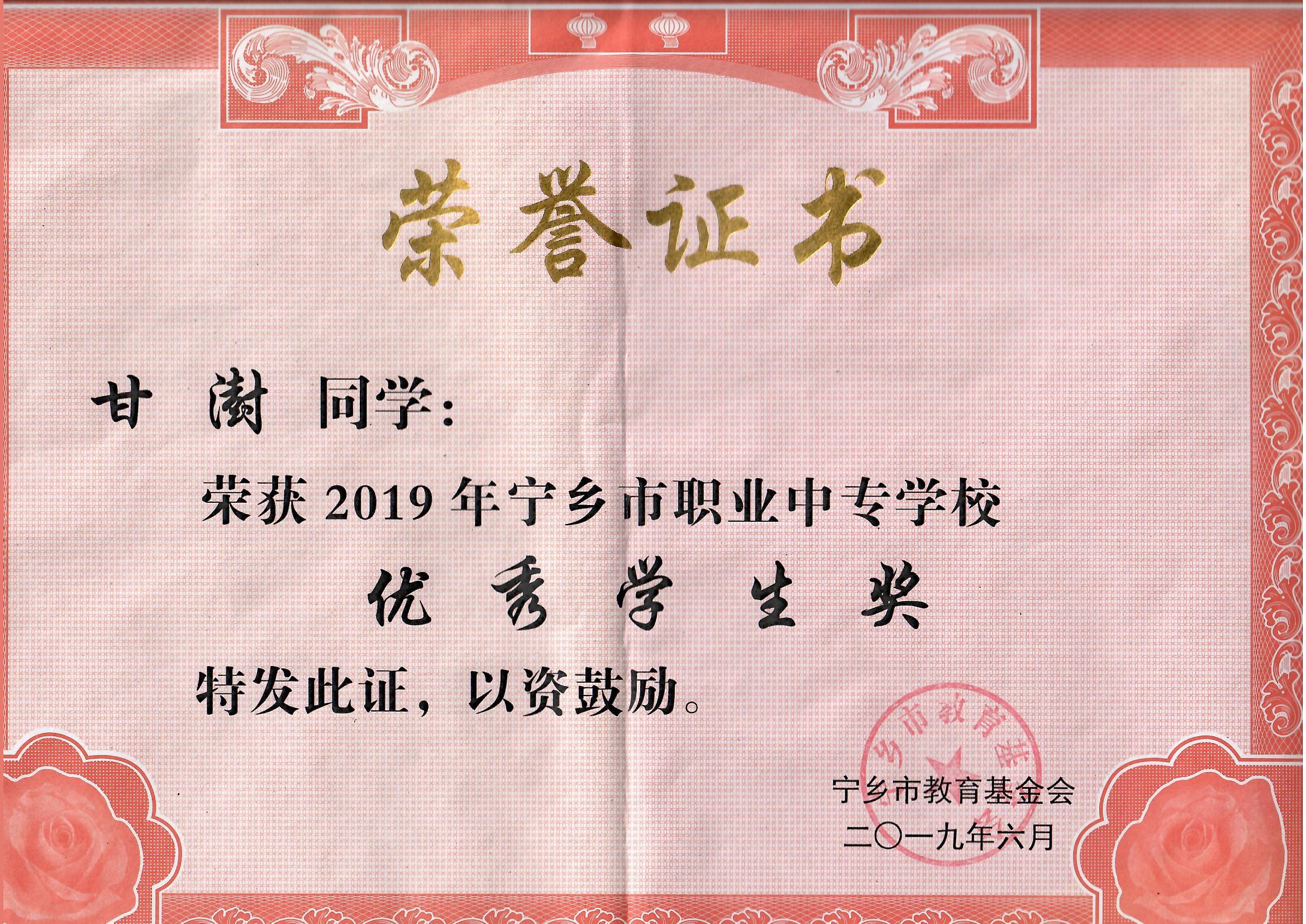 宁乡市“优秀学生奖”——甘澍同学