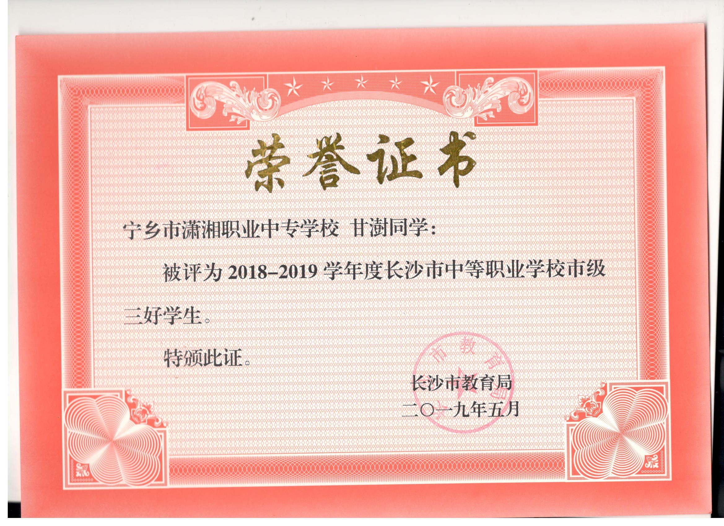 长沙市中职学校高级三好学生——甘澍同学