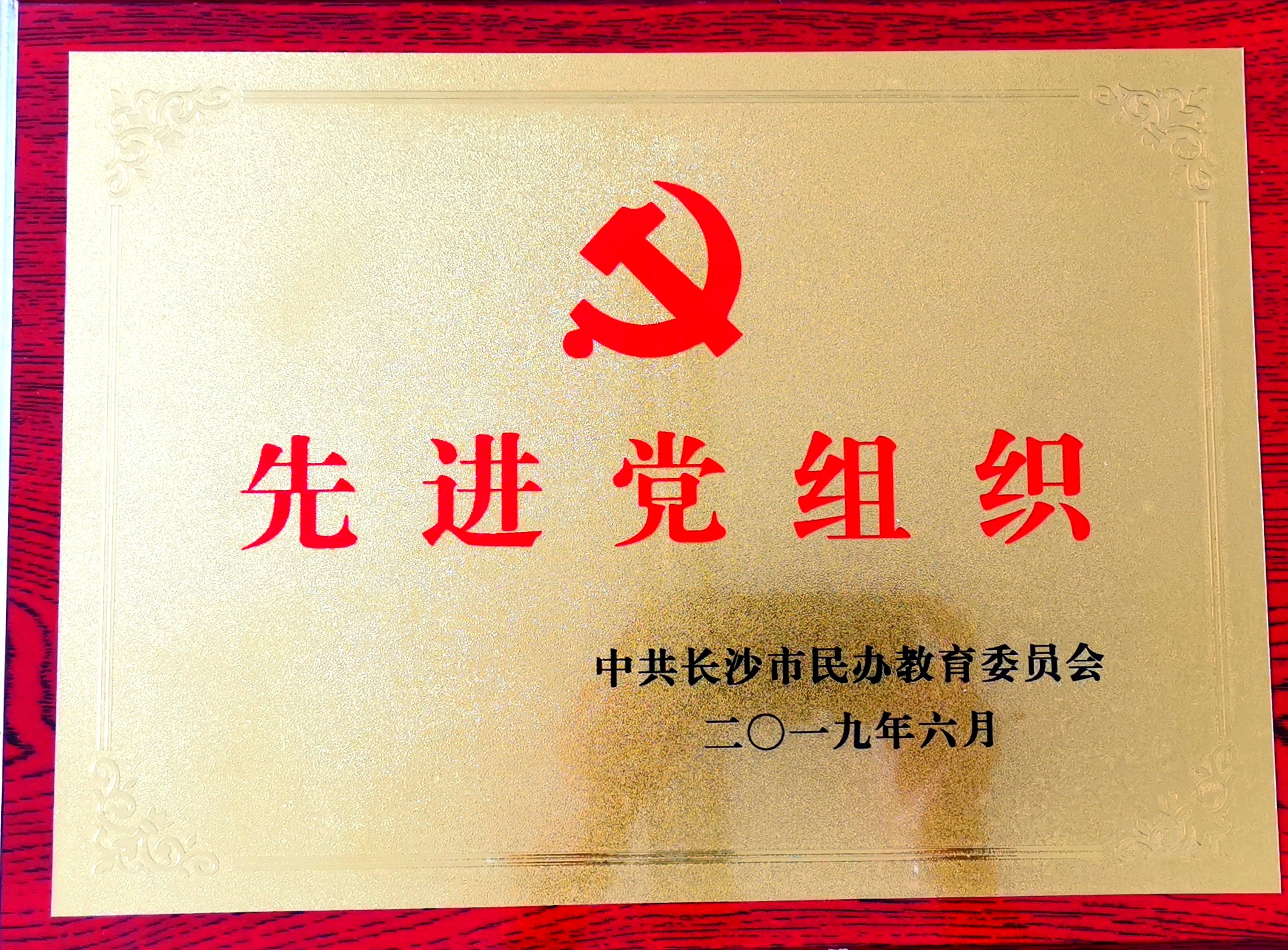 2019年6月被中共长沙市民办教育委员会评为“先进党组织”
